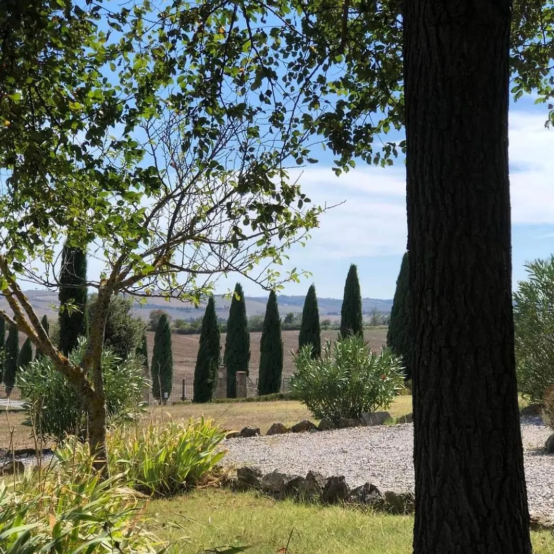 Casa Country House Girasole Vakantie Huis-Wakacje Huis Asciano 0*,